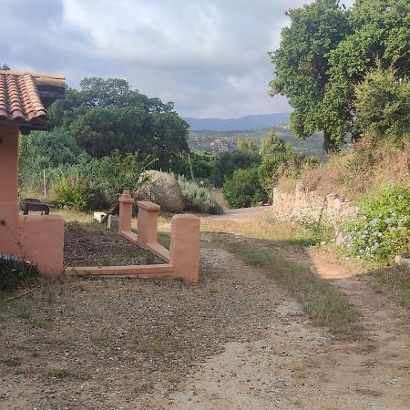 Bed and Breakfast Il Nuraghe Arbus Exterior foto