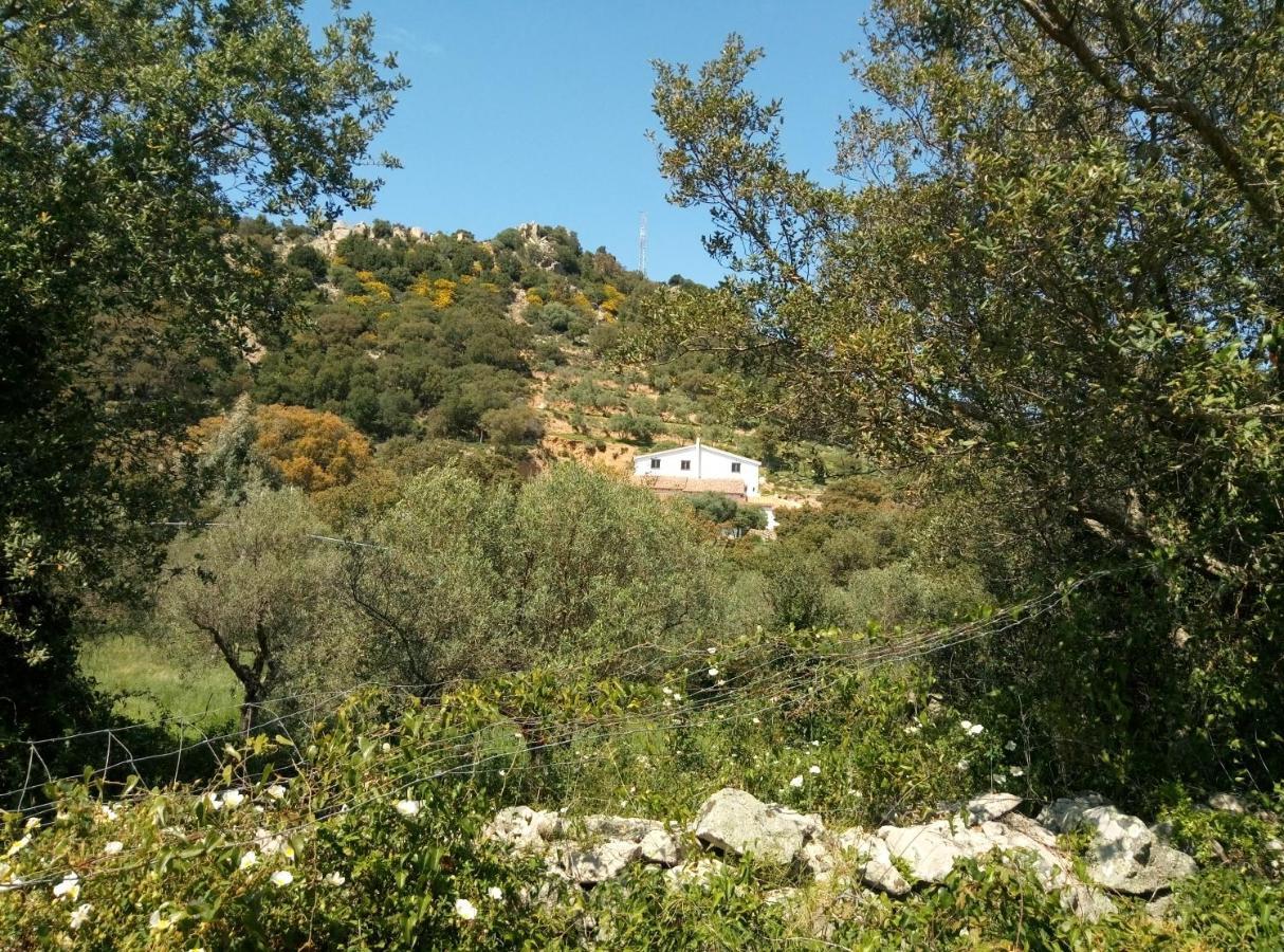 Bed and Breakfast Il Nuraghe Arbus Exterior foto