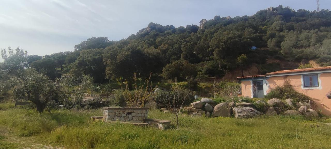 Bed and Breakfast Il Nuraghe Arbus Exterior foto