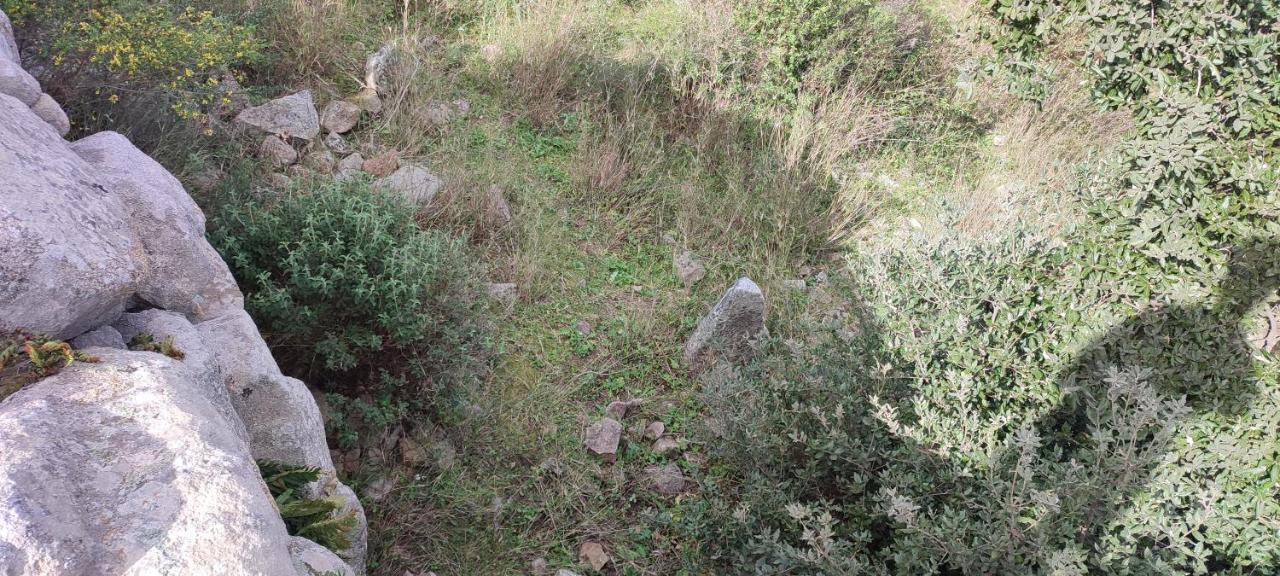 Bed and Breakfast Il Nuraghe Arbus Exterior foto