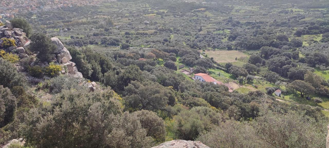 Bed and Breakfast Il Nuraghe Arbus Exterior foto