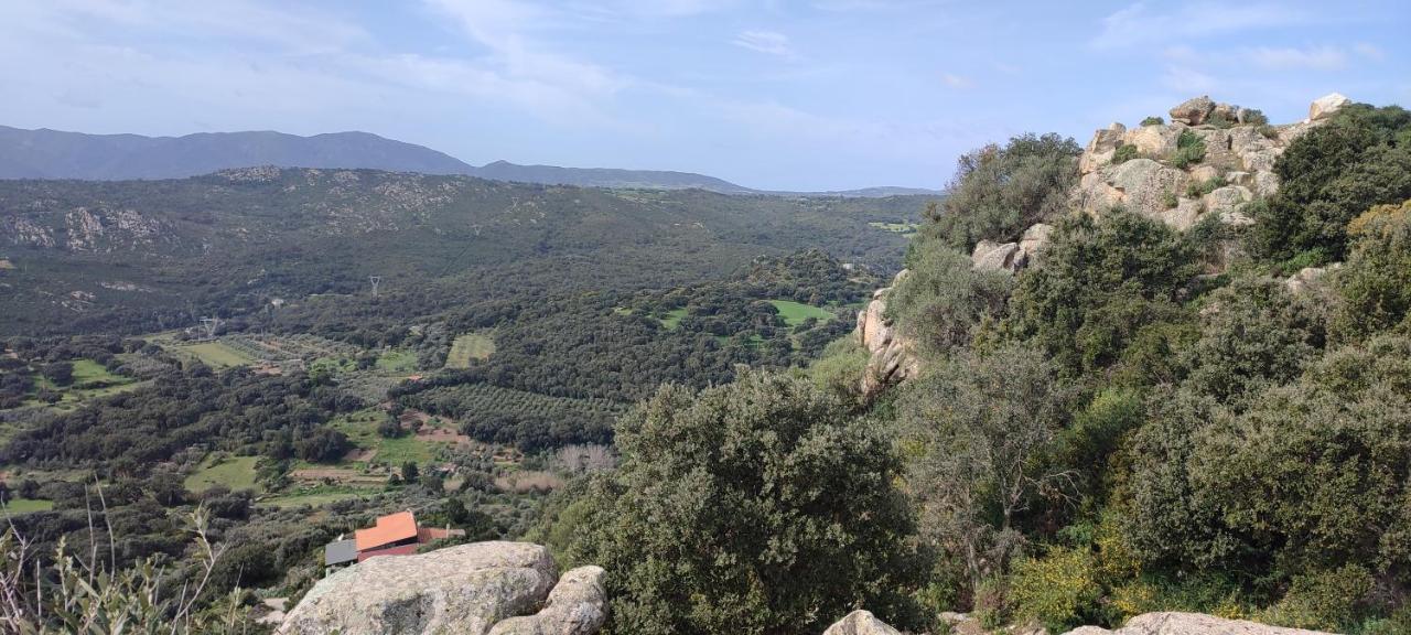 Bed and Breakfast Il Nuraghe Arbus Exterior foto