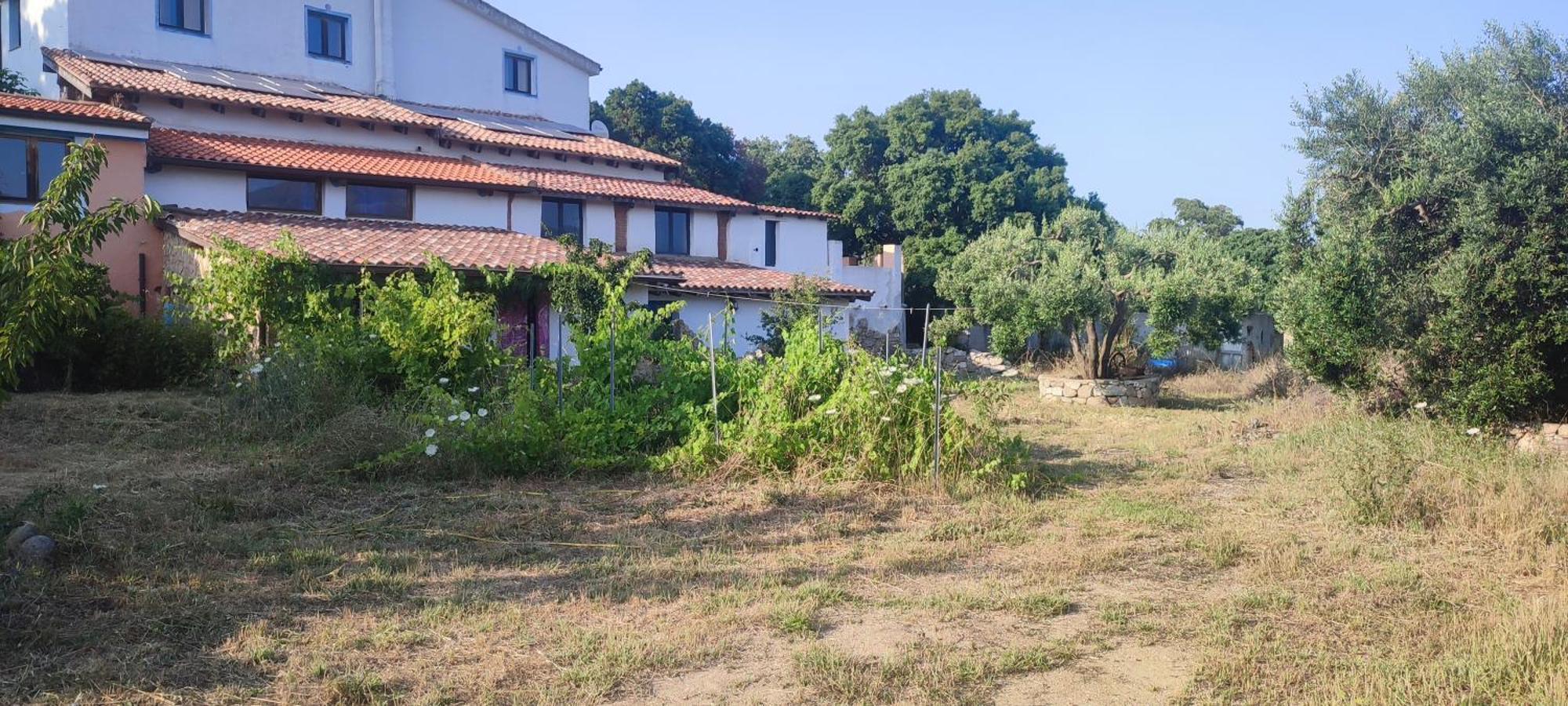 Bed and Breakfast Il Nuraghe Arbus Exterior foto